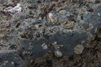 © Copyright Raphael Kessler - Britain - Lyme Regis 13