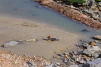 © Copyright Raphael Kessler - Britain - Lyme Regis 6