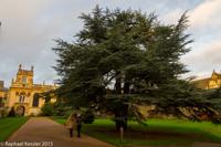© Copyright Raphael Kessler - Britain - Oxford 18