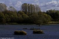 © Copyright Raphael Kessler - Britain - Rutland Water 3