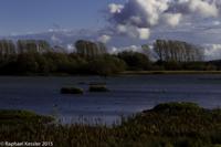 © Copyright Raphael Kessler - Britain - Rutland Water 4