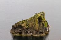 © Copyright Raphael Kessler 2025 – Scotland – Shetland 2023 – mousa99