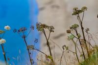 © Copyright Raphael Kessler 2025 – Scotland – Shetland 2023 – rerwick1