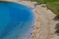 © Copyright Raphael Kessler 2025 – Scotland – Shetland 2023 – rerwick5