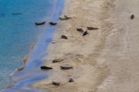 © Copyright Raphael Kessler 2025 – Scotland – Shetland 2023 – rerwick6