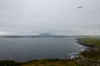 © Copyright Raphael Kessler 2025 – Scotland – Shetland 2023 – sumburgh4