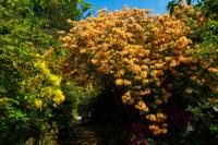 © Copyright Raphael Kessler - Britain - Scotney 15