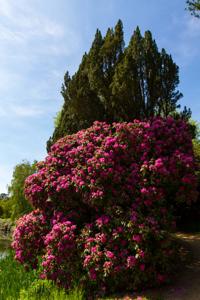 © Copyright Raphael Kessler - Britain - Scotney 17