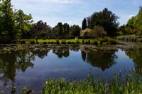 © Copyright Raphael Kessler - Britain - Scotney 19