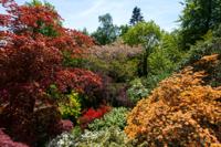 © Copyright Raphael Kessler - Britain - Scotney 2