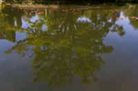 © Copyright Raphael Kessler - Britain - Scotney 20