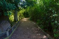 © Copyright Raphael Kessler - Britain - Scotney 23