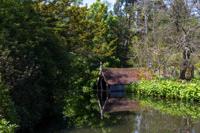 © Copyright Raphael Kessler - Britain - Scotney 25