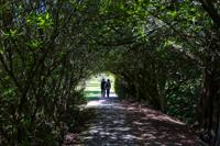 © Copyright Raphael Kessler - Britain - Scotney 26