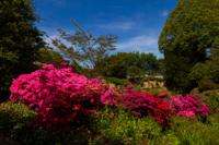 © Copyright Raphael Kessler - Britain - Scotney 28