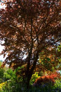 © Copyright Raphael Kessler - Britain - Scotney 7