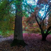 © Copyright Raphael Kessler - Britain - Sheffield Park 1
