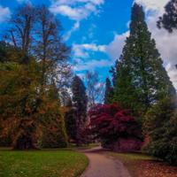 © Copyright Raphael Kessler - Britain - Sheffield Park 11