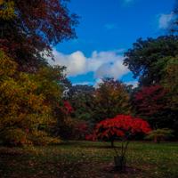© Copyright Raphael Kessler - Britain - Sheffield Park 12