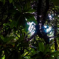 © Copyright Raphael Kessler - Britain - Sheffield Park 2