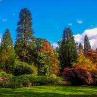 © Copyright Raphael Kessler - Britain - Sheffield Park 21