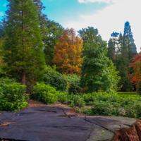 © Copyright Raphael Kessler - Britain - Sheffield Park 22