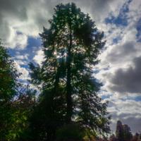 © Copyright Raphael Kessler - Britain - Sheffield Park 23