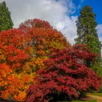 © Copyright Raphael Kessler - Britain - Sheffield Park 27