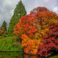 © Copyright Raphael Kessler - Britain - Sheffield Park 28
