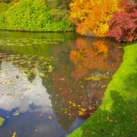© Copyright Raphael Kessler - Britain - Sheffield Park 29