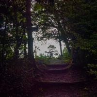 © Copyright Raphael Kessler - Britain - Sheffield Park 32