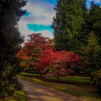© Copyright Raphael Kessler - Britain - Sheffield Park 4