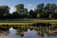 © Copyright Raphael Kessler - Britain - Shugborough 14