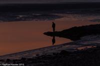 © Copyright Raphael Kessler - Britain - Silverdale 10