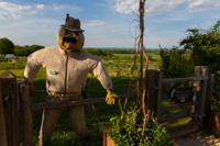 © Copyright Raphael Kessler - Britain - Sissinghurst 22