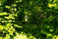 © Copyright Raphael Kessler - Britain - Sissinghurst 9