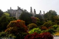 © Copyright Raphael Kessler - Britain - Sizergh 5