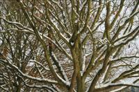 © Copyright Raphael Kessler - Britain - Stratford1