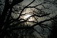 © Copyright Raphael Kessler - Britain - Stratford7