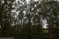 © Copyright Raphael Kessler - Britain - Sutton Hoo 4