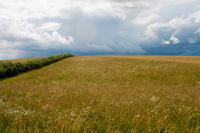 © Copyright Raphael Kessler - Britain - Therfield Walk 18