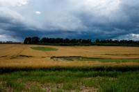 © Copyright Raphael Kessler - Britain - Therfield Walk 23