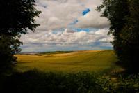 © Copyright Raphael Kessler - Britain - Therfield Walk 5