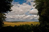 © Copyright Raphael Kessler - Britain - Therfield Walk 6