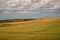 © Copyright Raphael Kessler - Britain - Therfield Walk 7