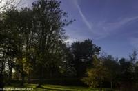 © Copyright Raphael Kessler - Britain - Tree Cathedral 12