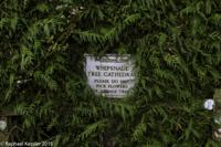 © Copyright Raphael Kessler - Britain - Tree Cathedral 14