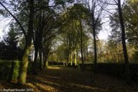 © Copyright Raphael Kessler - Britain - Tree Cathedral 16