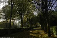 © Copyright Raphael Kessler - Britain - Tree Cathedral 17