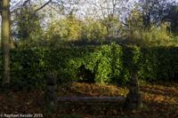 © Copyright Raphael Kessler - Britain - Tree Cathedral 18